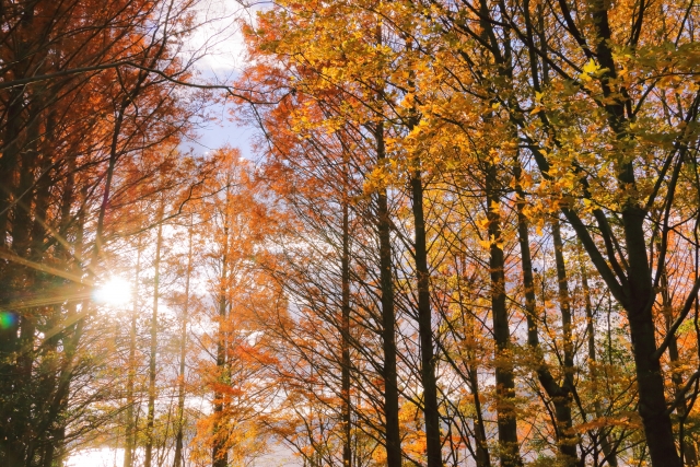 四季から二季へ 〜変化の時代をどう生きるか〜