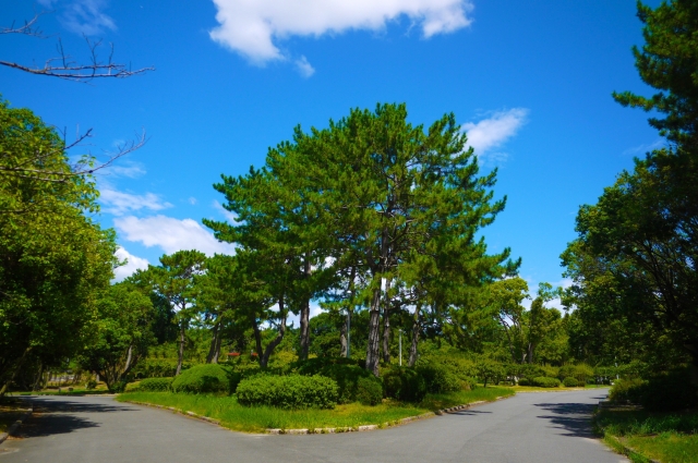 紫微斗数でわかる「人生の転機」